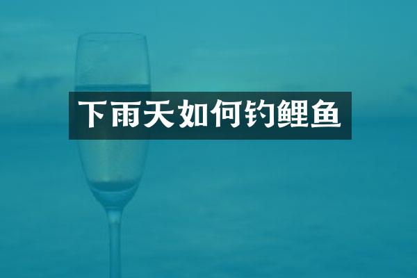 下雨天如何钓鲤鱼