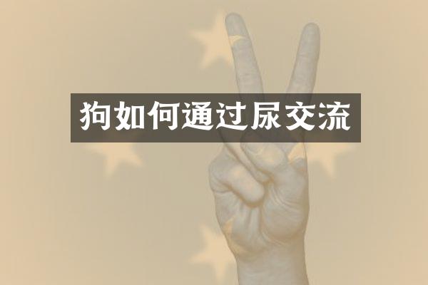 狗如何通过尿交流