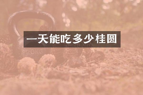 一天能吃多少桂圆