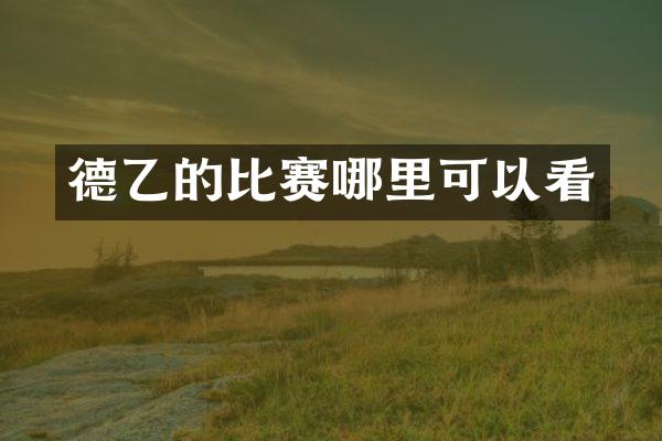 德乙的比赛哪里可以看