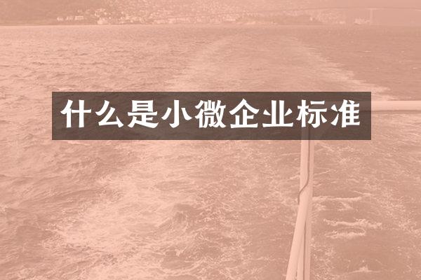什么是小微企业标准