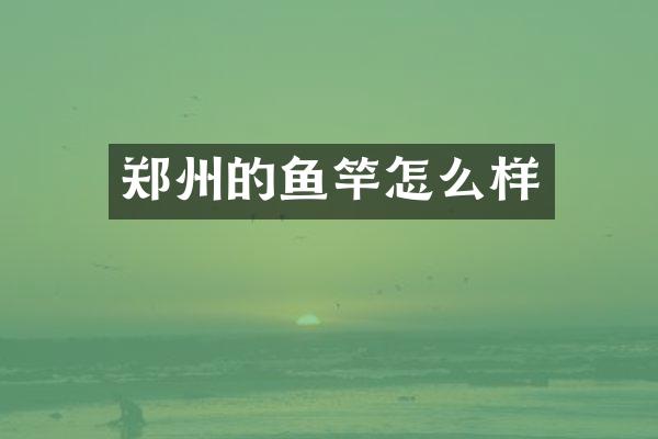 郑州的鱼竿怎么样