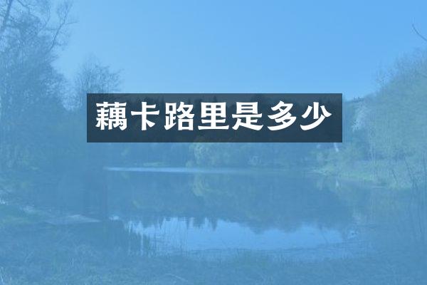 藕卡路里是多少