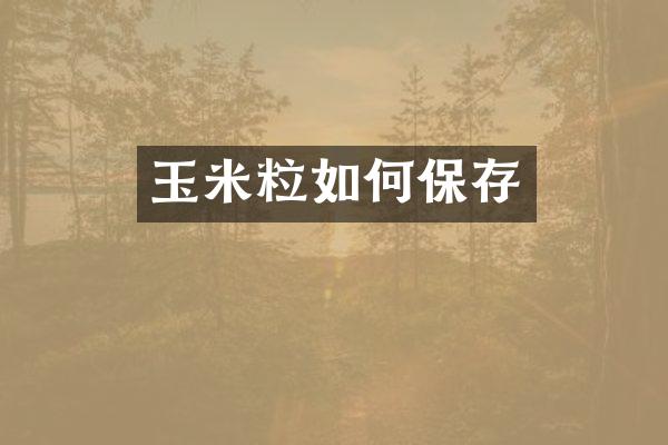 玉米粒如何保存