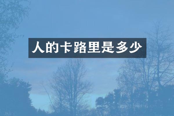 人的卡路里是多少