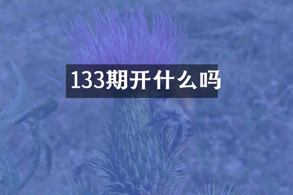 133期开什么吗