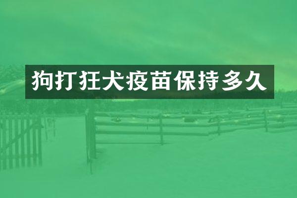 狗打狂犬疫苗保持多久