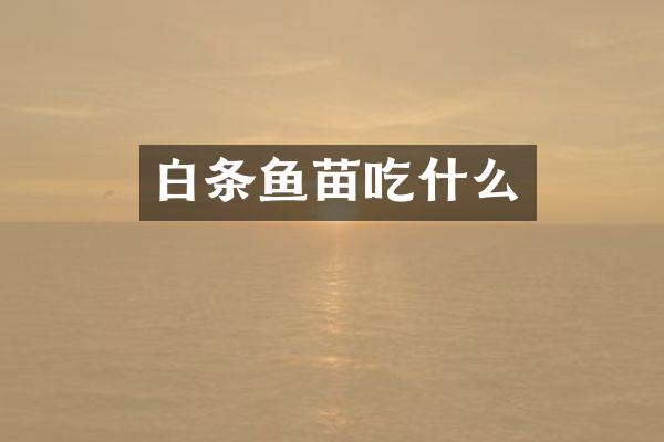 白条鱼苗吃什么