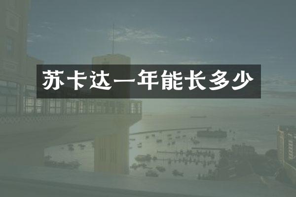 苏卡达一年能长多少