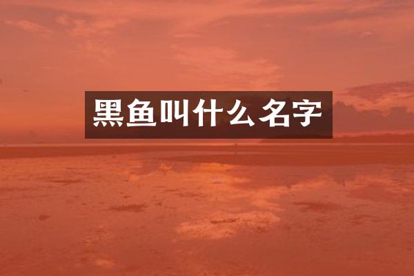 黑鱼叫什么名字