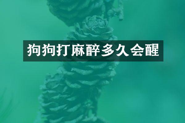 狗狗打麻醉多久会醒