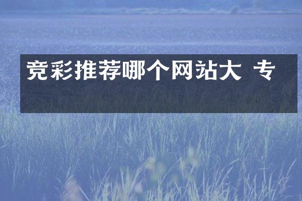 竞彩推荐哪个网站大 专业
