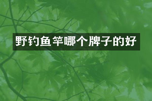 野钓鱼竿哪个牌子的好