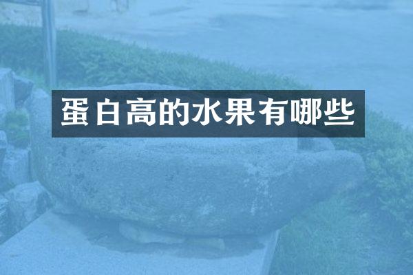 蛋白高的水果有哪些