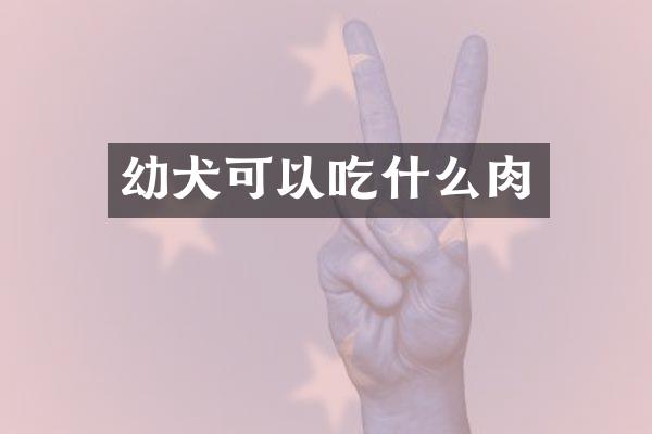 幼犬可以吃什么肉