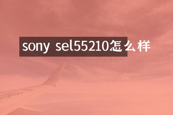 sony sel55210怎么样