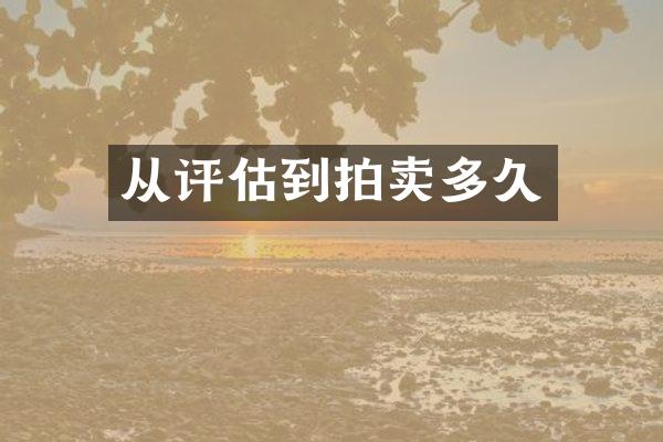 从评估到拍卖多久