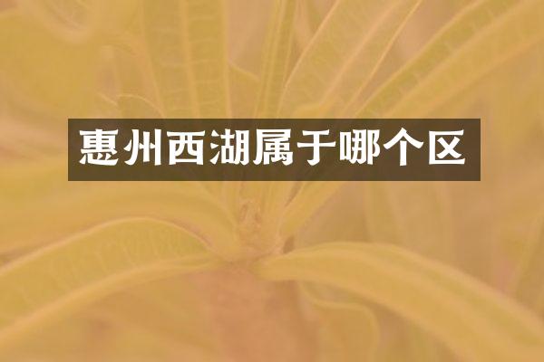 惠州西湖属于哪个区