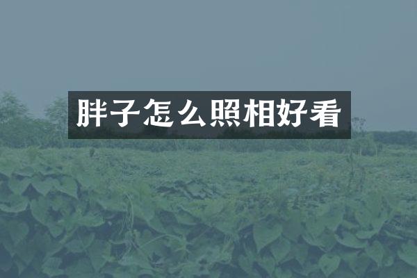 胖子怎么照相好看