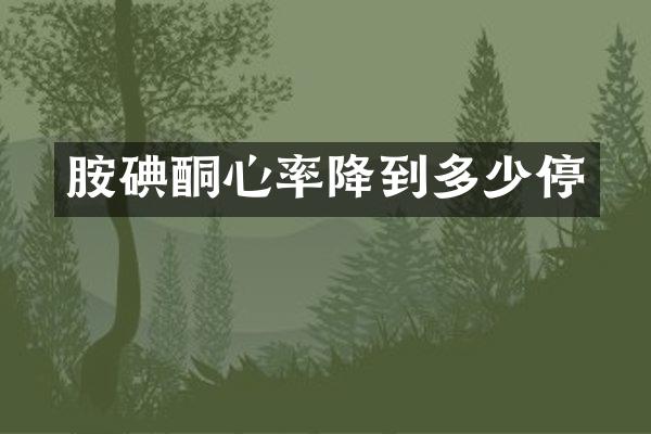 胺碘酮心率降到多少停