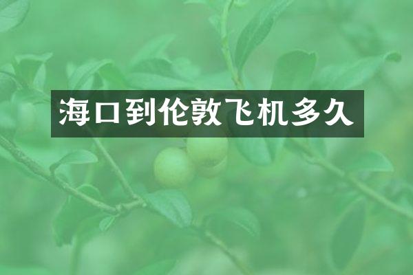 海口到伦敦飞机多久