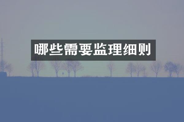 哪些需要监理细则