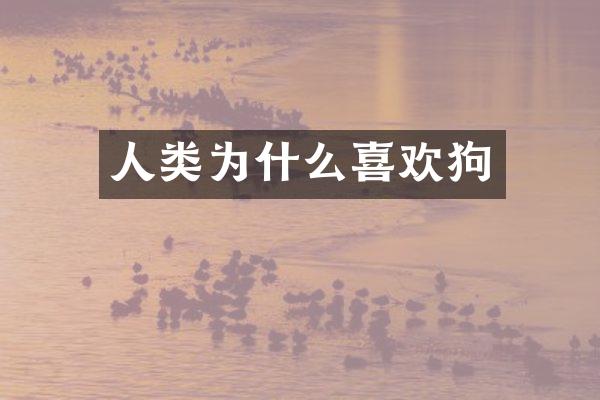 人类为什么喜欢狗