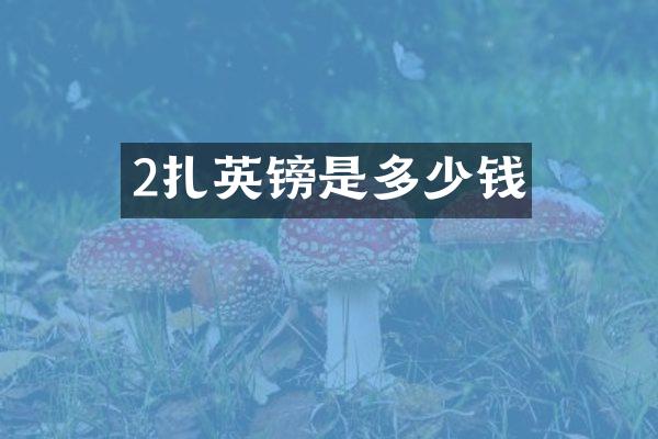 2扎英镑是多少钱