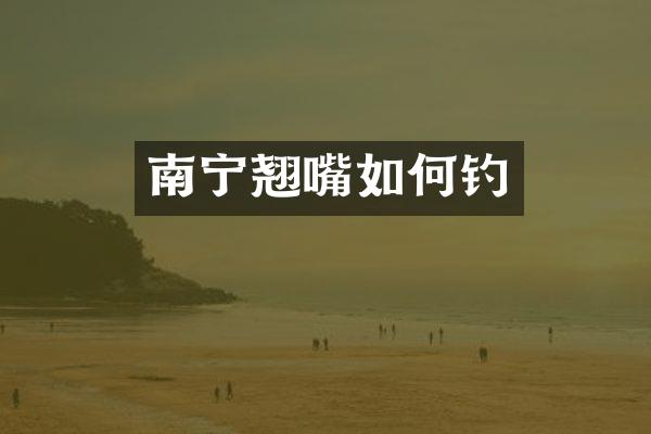 南宁翘嘴如何钓