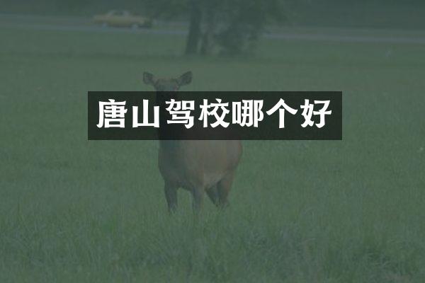 唐山驾校哪个好