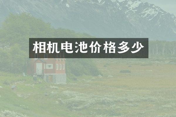 相机电池价格多少