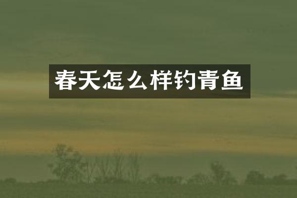 春天怎么样钓青鱼