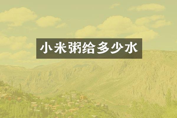 小米粥给多少水