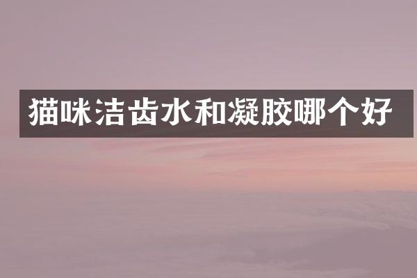 猫咪洁齿水和凝胶哪个好