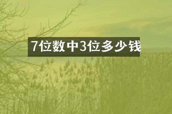 7位数中3位多少钱