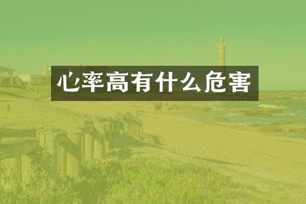 心率高有什么危害