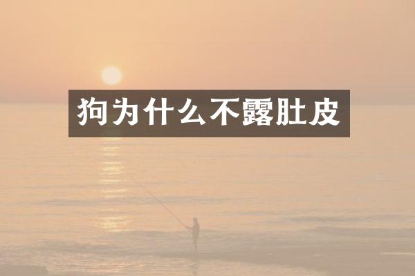 狗为什么不露肚皮
