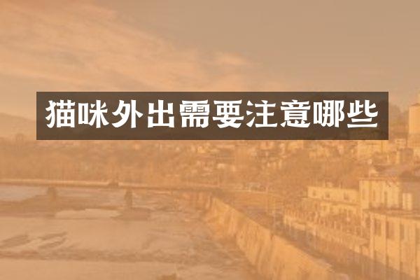 猫咪外出需要注意哪些