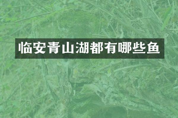 临安青山湖都有哪些鱼
