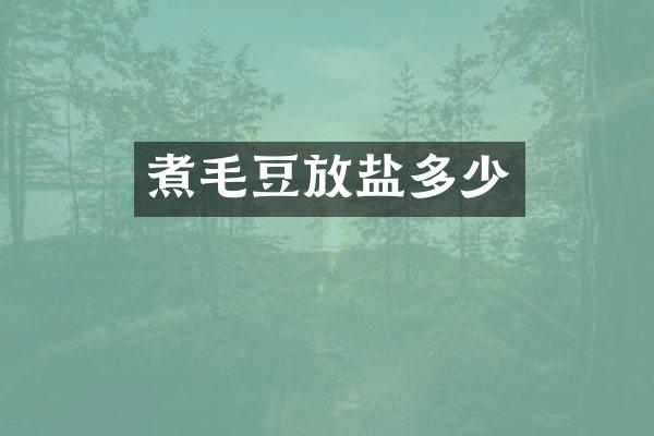 煮毛豆放盐多少