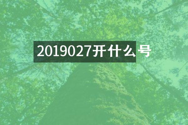 2019027开什么号