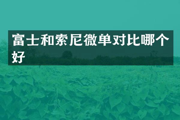 富士和微单对比哪个好