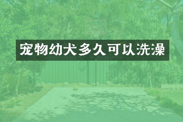 宠物幼犬多久可以洗澡