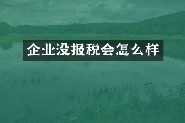企业没报税会怎么样
