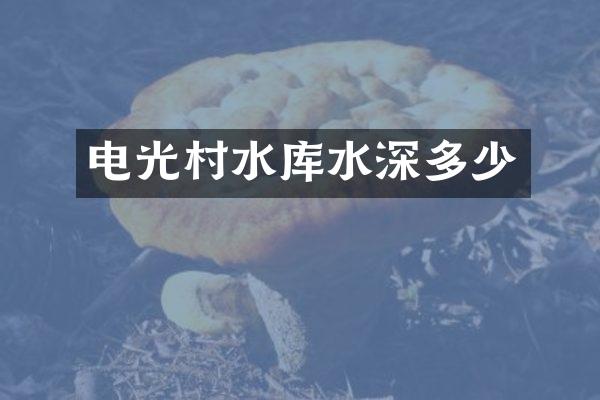 电光村水库水深多少