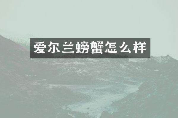 爱尔兰螃蟹怎么样