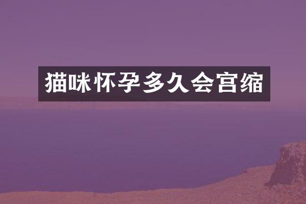 猫咪怀孕多久会宫缩