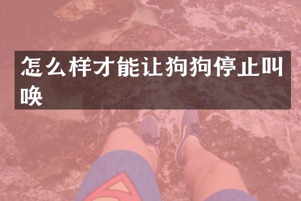 怎么样才能让狗狗停止叫唤