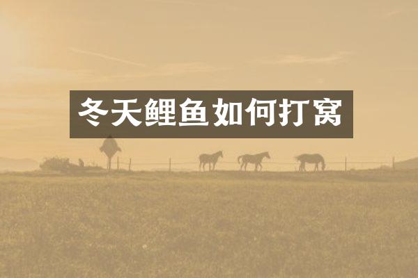 冬天鲤鱼如何打窝
