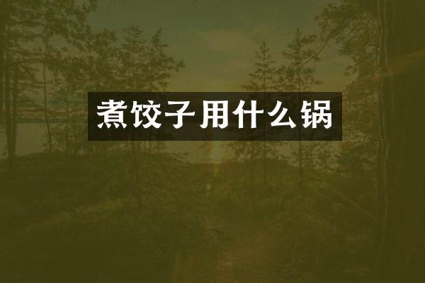 煮饺子用什么锅